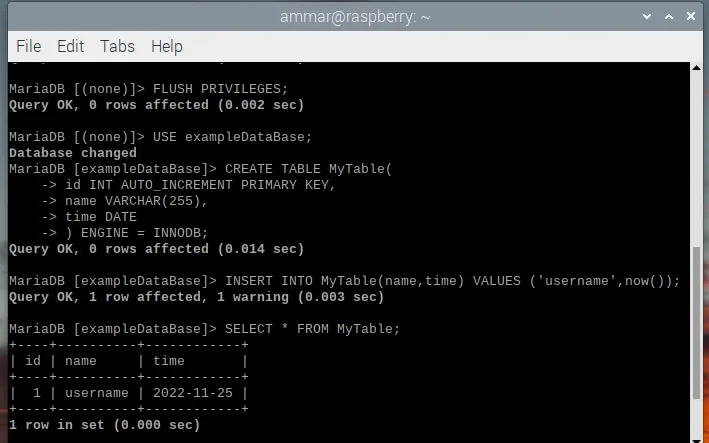How to Setup MySQL in Raspberry Pi