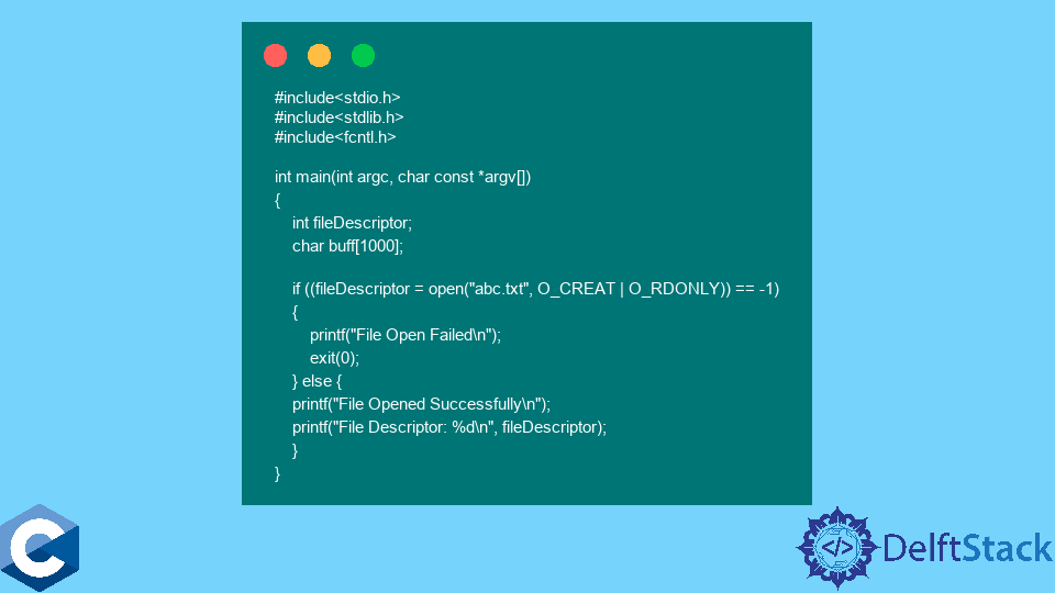 File Descriptor in C | Delft Stack