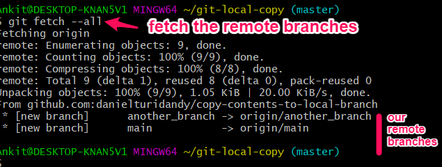 git pull remote branch to overwrite local
