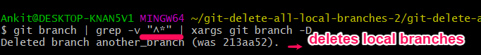 delete-all-local-branches-in-git-delft-stack