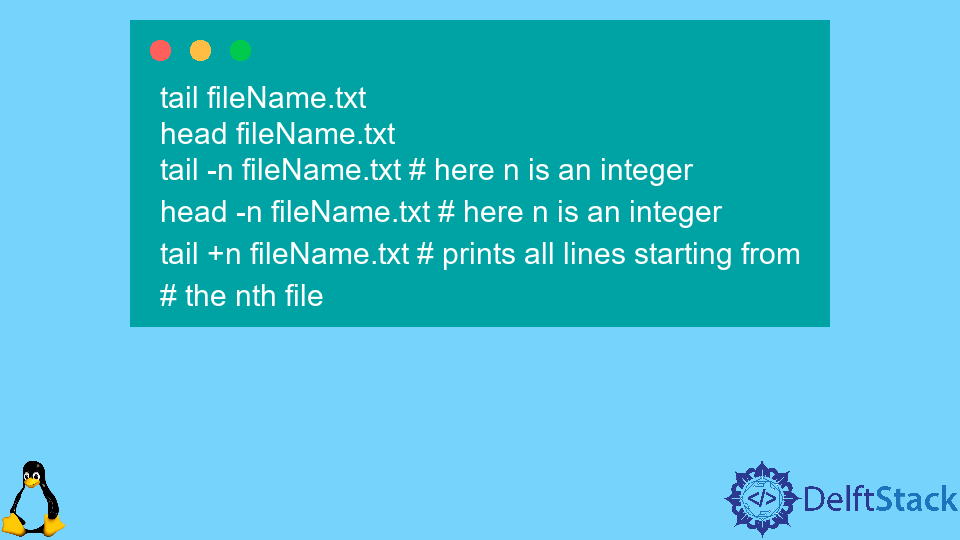 Print File After Skipping First X Lines in Bash