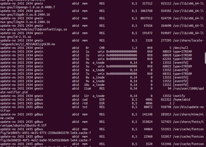 the-lsof-command-in-linux-delft-stack