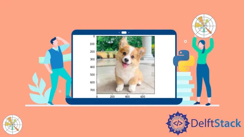 How to Display an Image With Matplotlib Python | Delft Stack