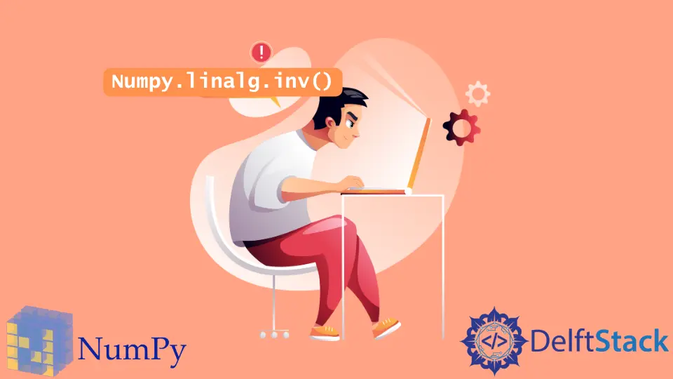 Python Numpy.linalg.inv() - Matrice inversa