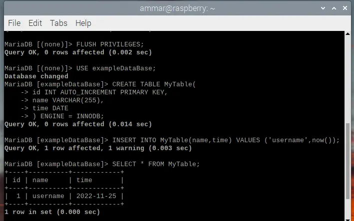 MySQL im Raspberry Pi